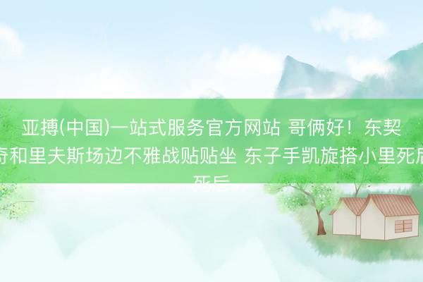 亚搏(中国)一站式服务官方网站 哥俩好！东契奇和里夫斯场边不雅战贴贴坐 东子手凯旋搭小里死后