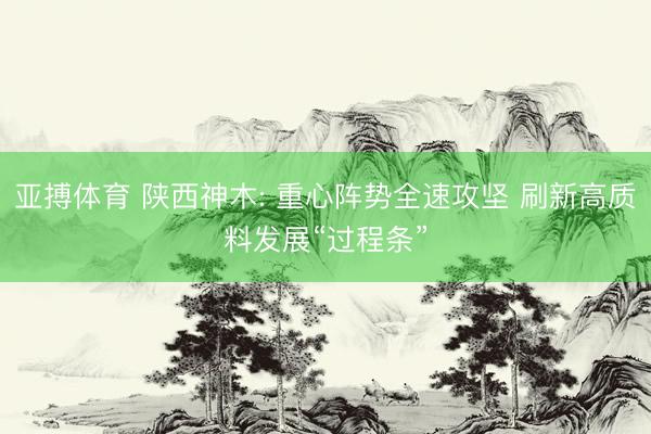 亚搏体育 陕西神木: 重心阵势全速攻坚 刷新高质料发展“过程条”