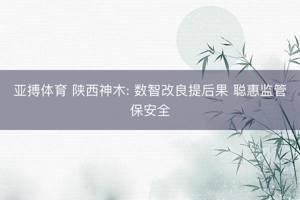 亚搏体育 陕西神木: 数智改良提后果 聪惠监管保安全