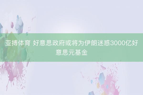 亚搏体育 好意思政府或将为伊朗迷惑3000亿好意思元基金