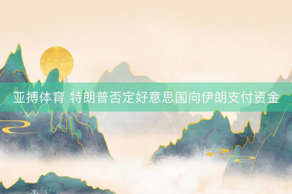 亚搏体育 特朗普否定好意思国向伊朗支付资金