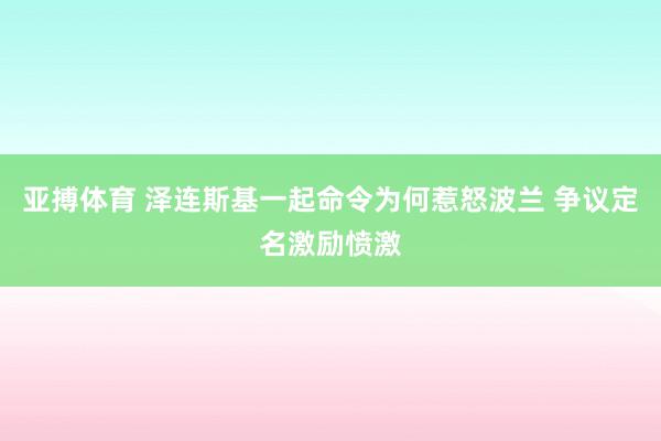 亚搏体育 泽连斯基一起命令为何惹怒波兰 争议定名激励愤激